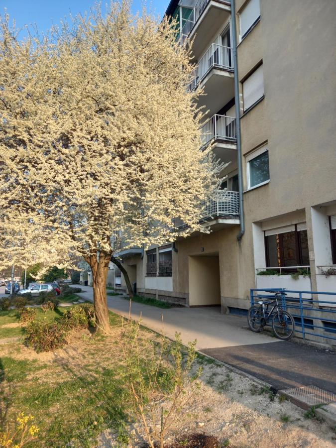 Apartment Jarun Comfort ซาเกร็บ ภายนอก รูปภาพ