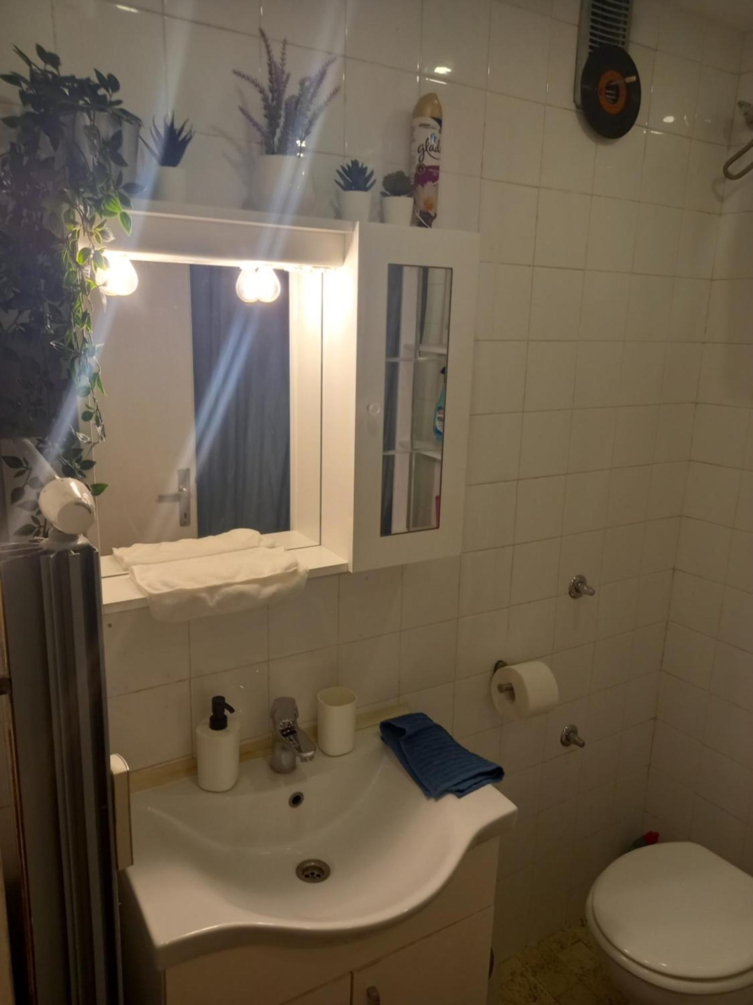 Apartment Jarun Comfort ซาเกร็บ ภายนอก รูปภาพ